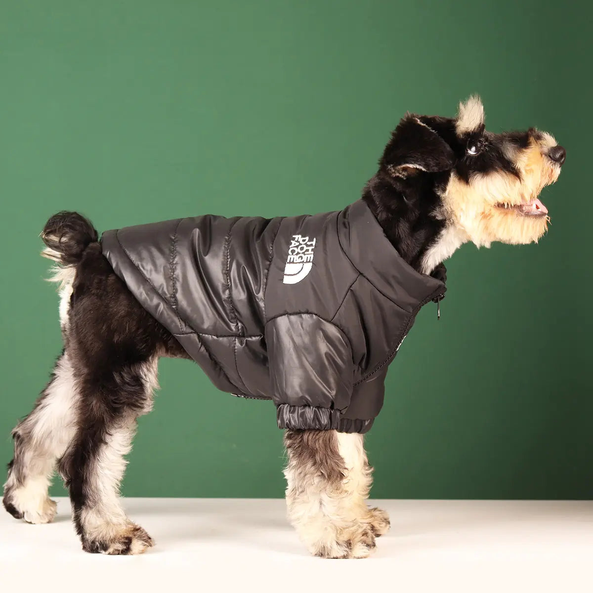 The Dog Face Winterjacke