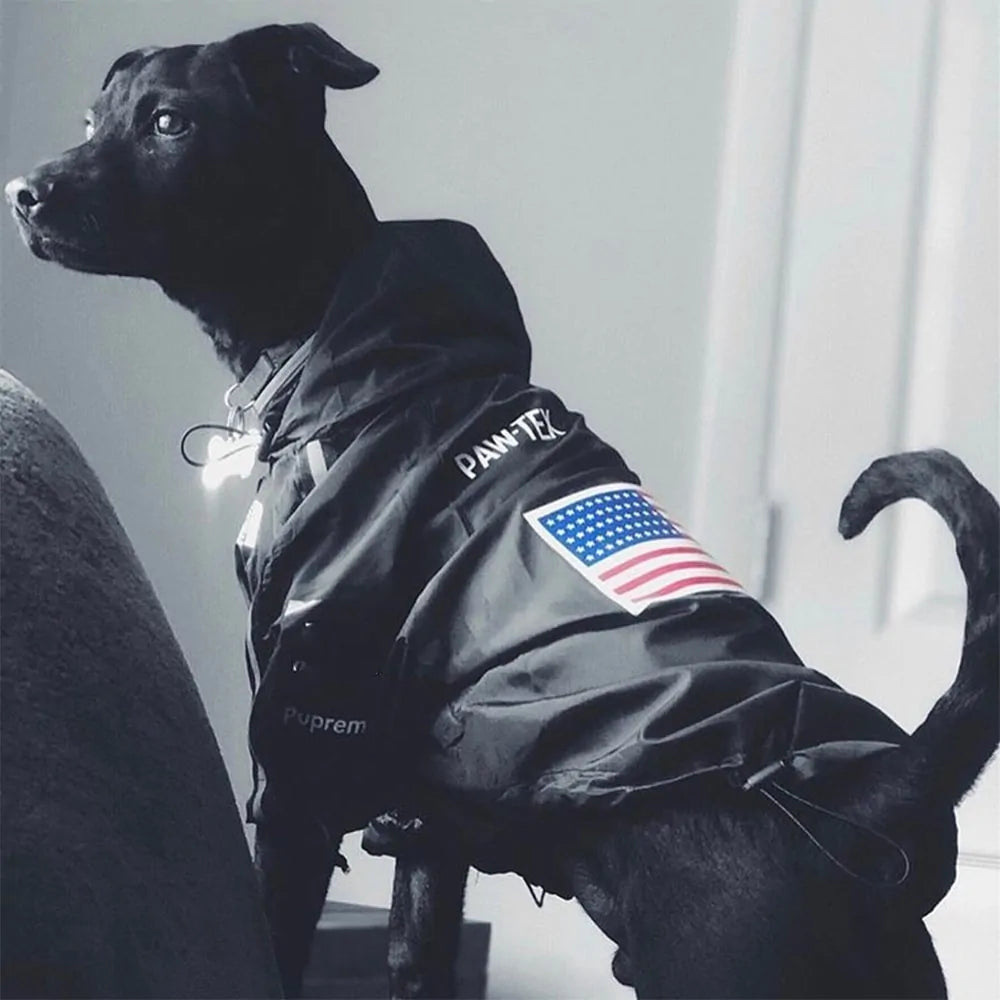 The Dog Face Jacke in 6 verschiedenen Farben